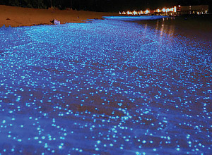 Nocturnal light baths