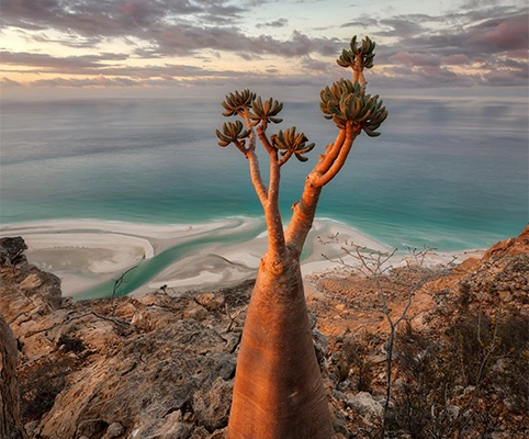 Exotic destinations for you to discover