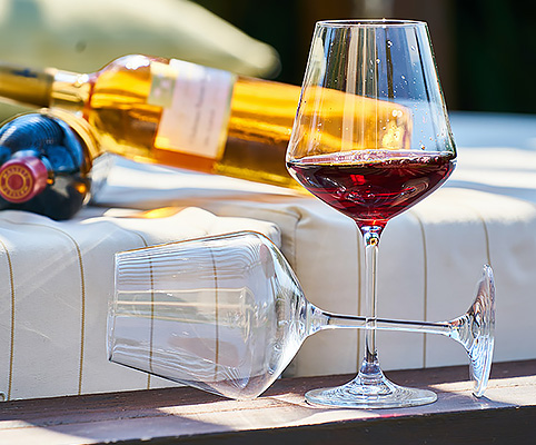 Best Brazilian wines 2023