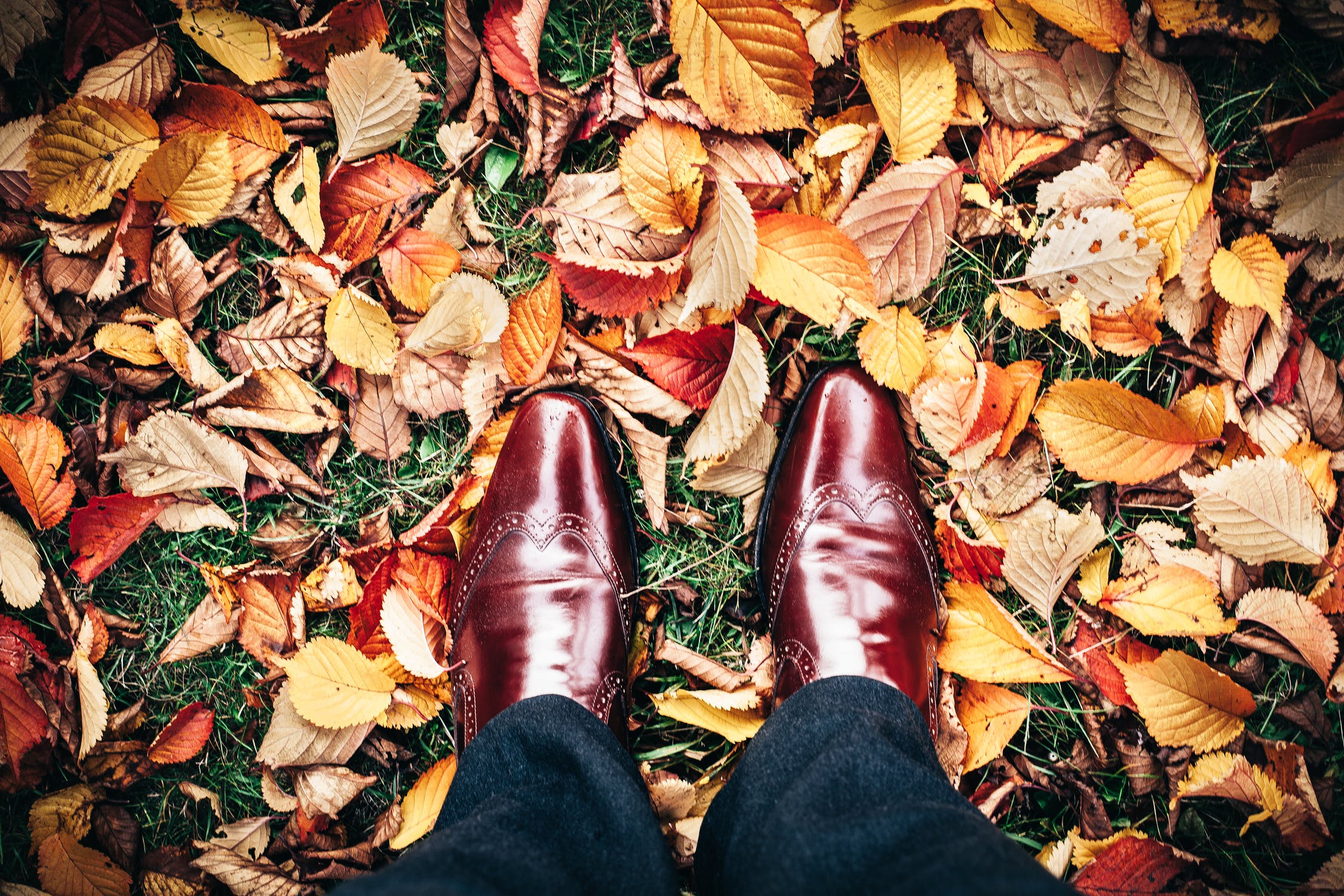 tips-for-the-autumn-of-2021