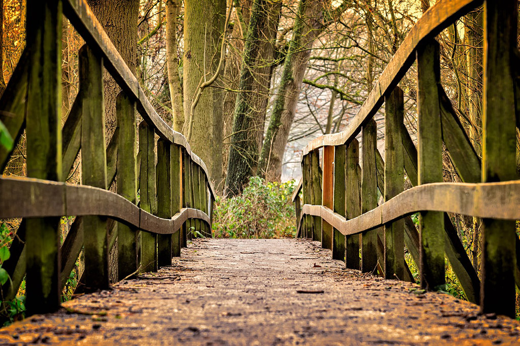 walk-through-different-paths