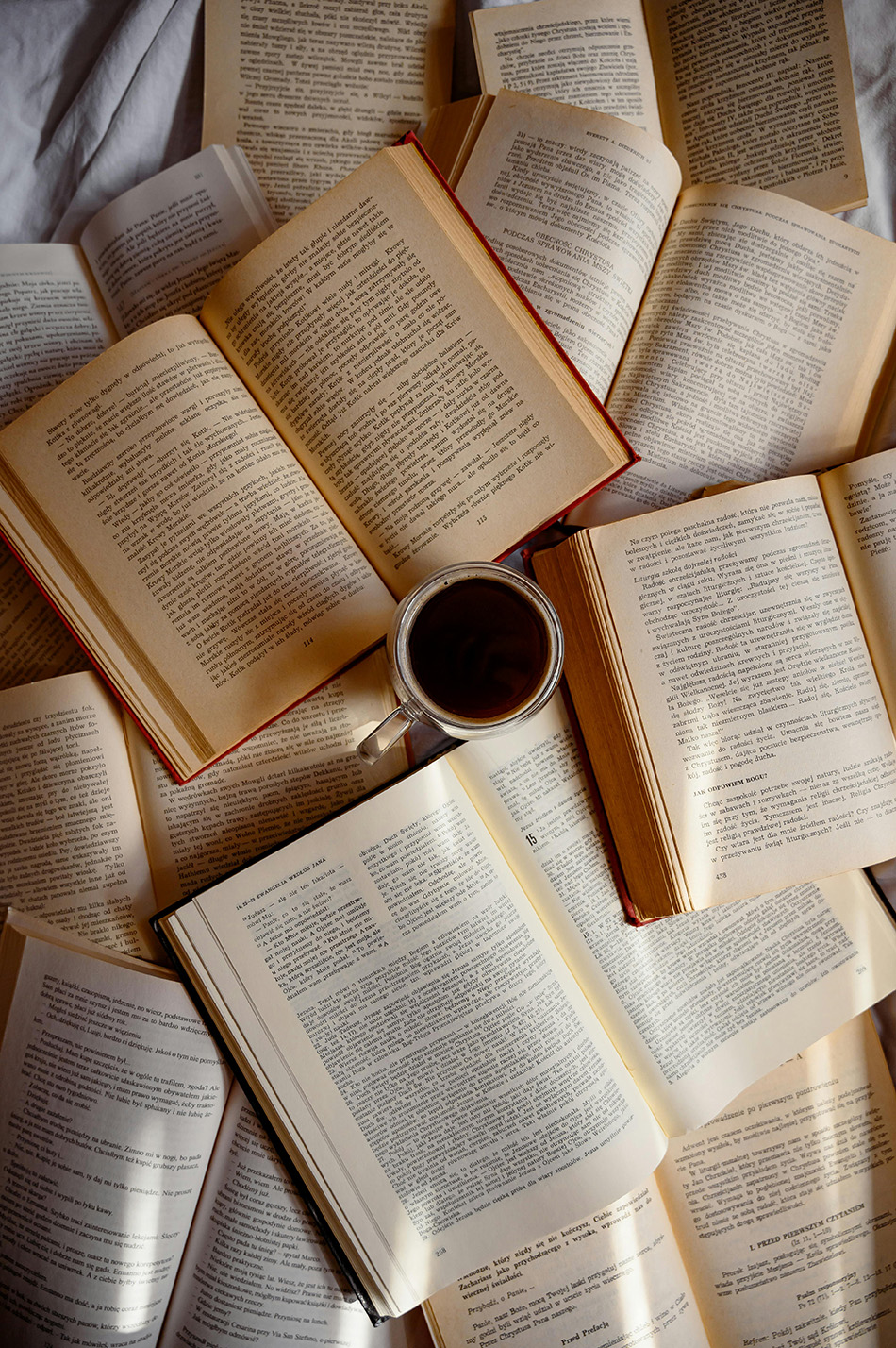 books-that-transform-classics-and-moderns-for-your-library