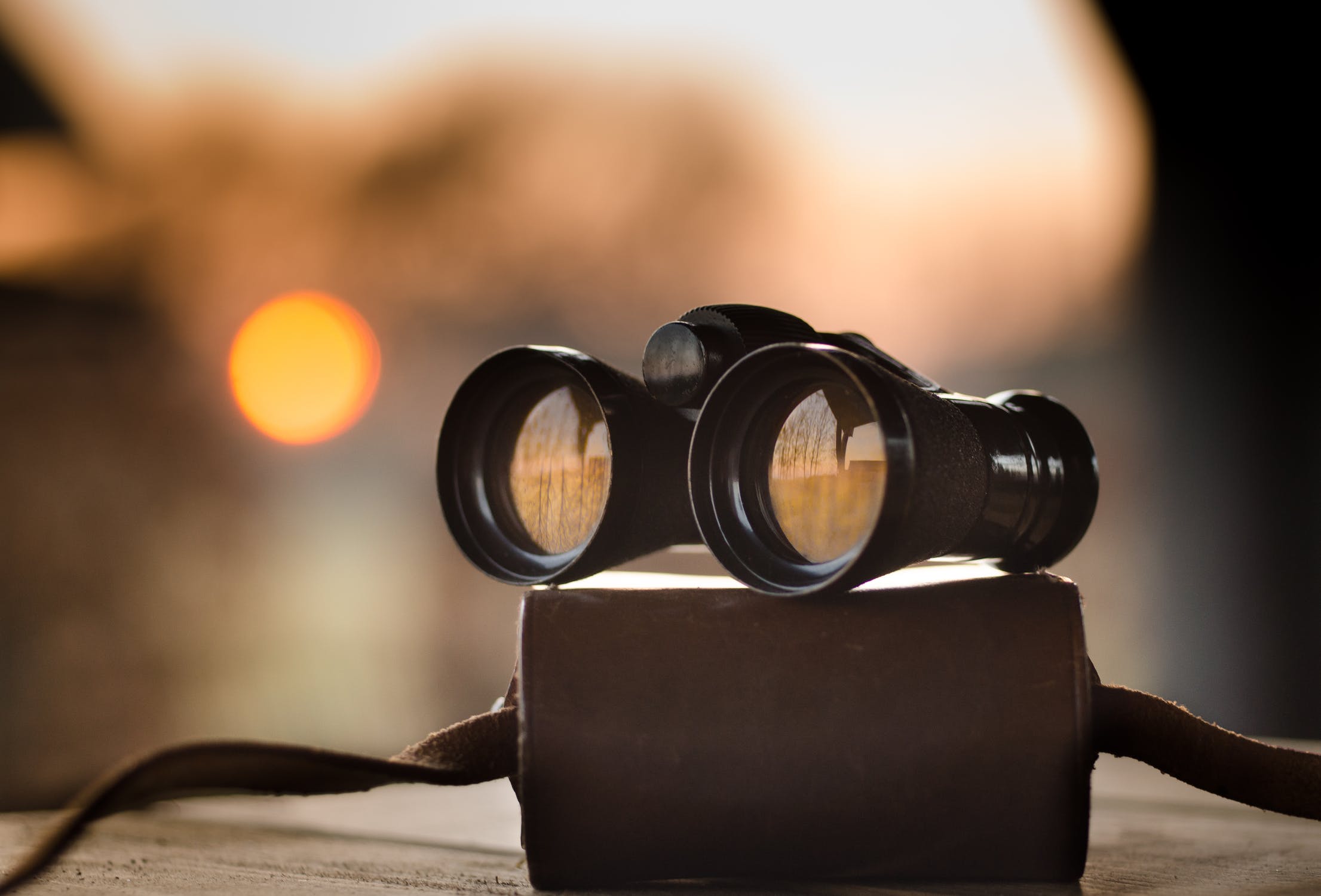 in-the-time-of-the-curious