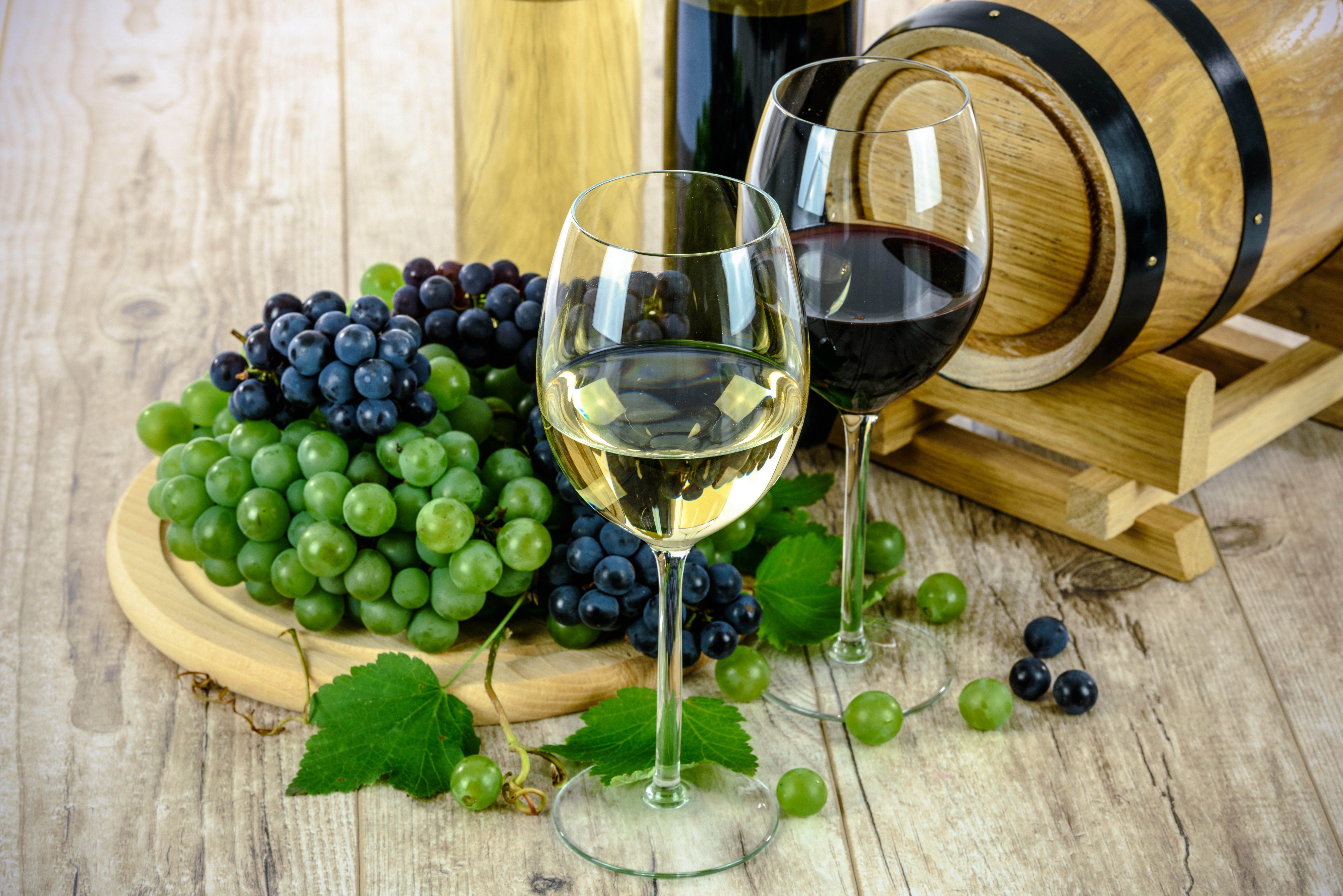south-americas-best-wine