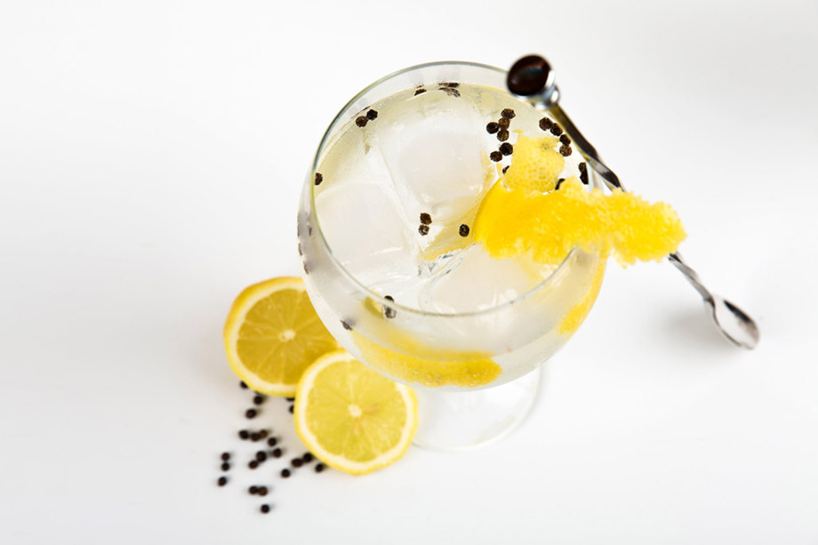 gin-5-dicas-para-um-drink-perfeito