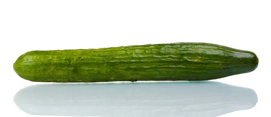 tipos de pênis