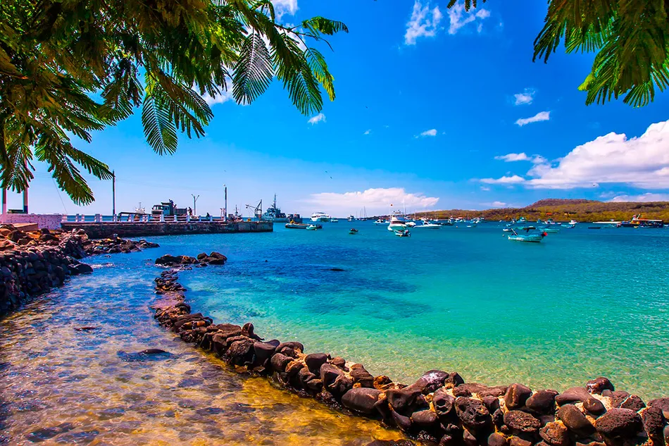gal&aacute;pagos