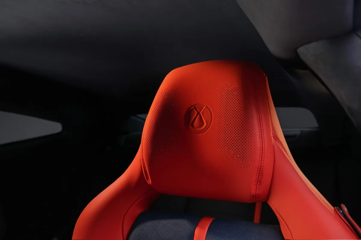 denza z byd