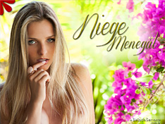 Niege Menegat