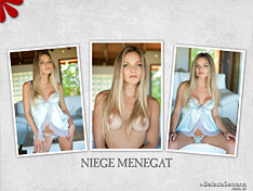 Niege Menegat